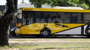 Habrá colectivos con frecuencias y horarios que llegarán hasta la zona de boliches