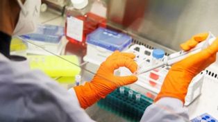 Argentina y Brasil firmarán acuerdos de cooperación en investigación nuclear y biotecnología