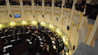 Media sanción al paquete de cambios en las leyes electorales