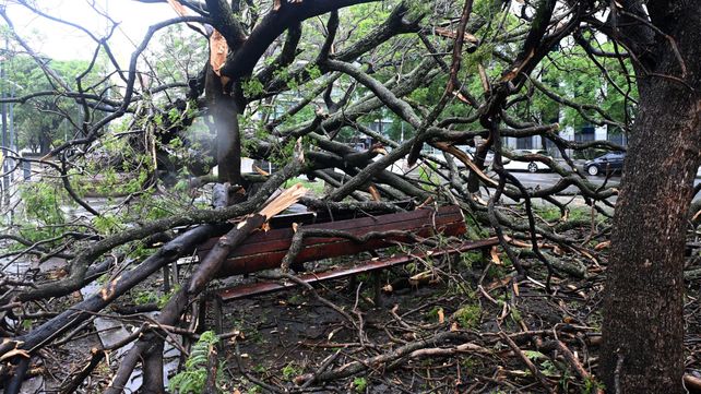 El temporal golpeó muy fuerte en Caba: apagón, 350 árboles caídos y cien vuelos cancelados