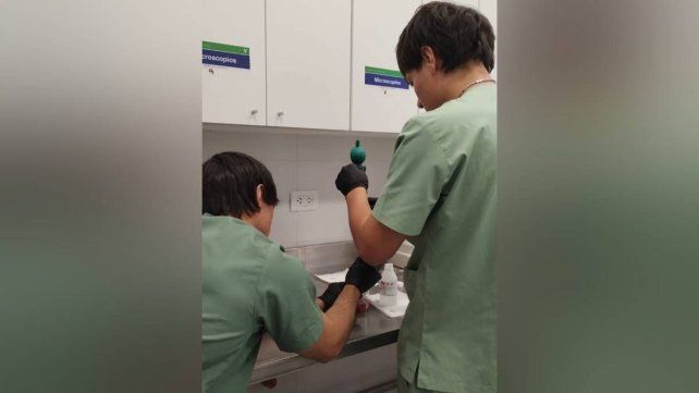 Estudiantes de la UCSF investigan la presencia de microplásticos en cortes cárnicos de consumo humano