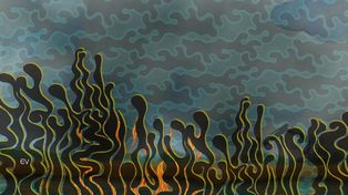 Incendios en el humedal: el desafío de la transmisión educativa