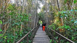 El Pre Delta recibe cientos de visitantes por semana.