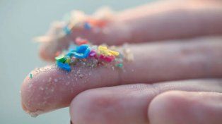 La investigación revela que los microplásticos y los nanoplásticos se acumulan a niveles más altos en el cerebro que en el hígado y el riñón.