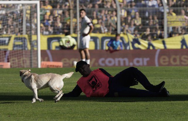 El perro que entró al Gigante no podía ser atrapado para reanudar el juego entre Central y Tigre.