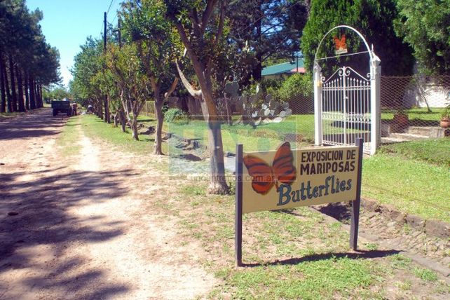 Liebig ya es patrimonio histórico y cultural