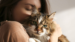 La ciencia descubrió que muchos dueños de gatos no saben cómo acariciarlos