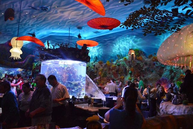 Se rompió la pecera gigante de un restaurant de Disney