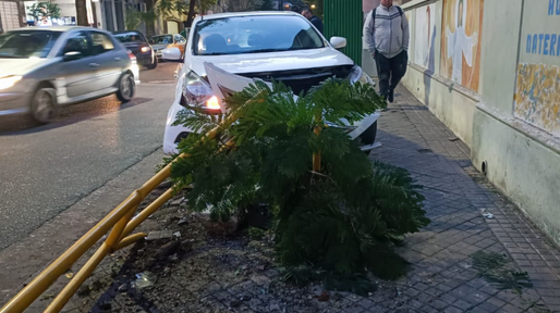 Choque en el centro: quiso ponerse el cinturón de seguridad e impactó contra un jardín