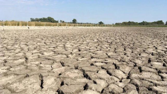 Sequía en el norte: el secretario de Agricultura llega a Santa Fe y entregará fondos por $1.300 millones