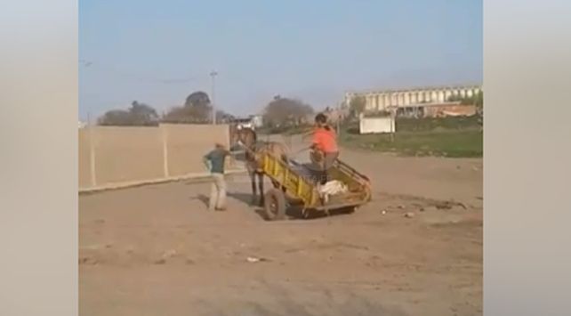 Maltrato animal en el sur de la provincia