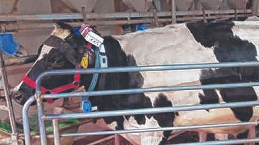 Ganadería de precisión en sistemas de base pastoril