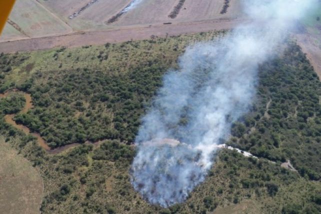 Sancionarán a los responsables de las quemas en las islas entrerrianas
