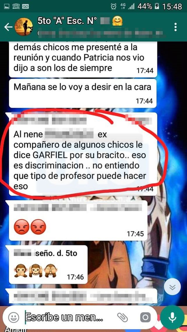 Indignados. Los padres en el grupo de whatsapp repudiaron el docente.