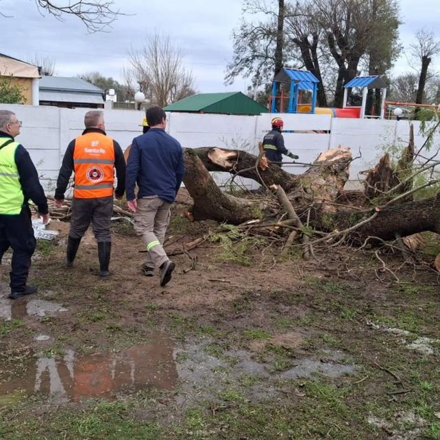 Las Rosas se recupera después de los 15 minutos de devastación del jueves provocadas por la tormenta de granizo