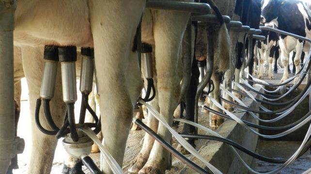 Santa Fe muestra un camino: la exportación de lácteos elaborados