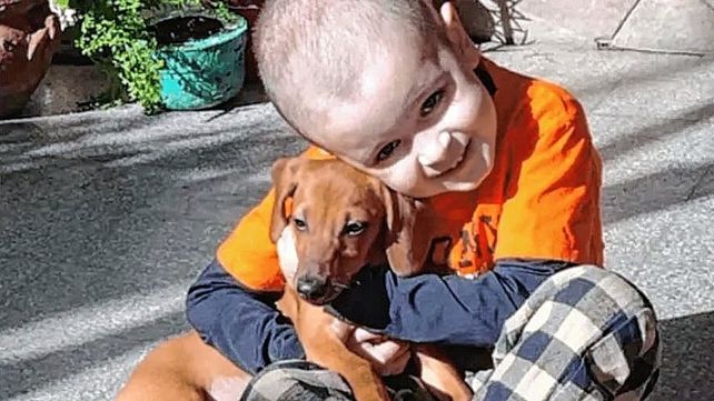 La colecta por Nico logró reunir los 43,5 millones de pesos para el tratamiento en Barcelona