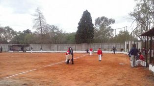 Delincuentes volvieron a robar en el predio de Softbol Play.