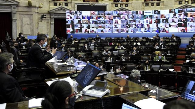 Se viene en la Cámara baja nacional el debate de la llamada ley de leyes.