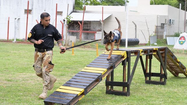 Inauguraron una pista de adiestramiento canino para búsqueda de estupefacientes y control penitenciario. Está ubicada en la Unidad Penal 1 de Paraná