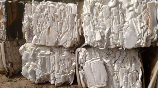 Científicos de Santa Fe crearon un telgopor ecológico 100% biodegradable a partir de cáscara de arroz y hongos