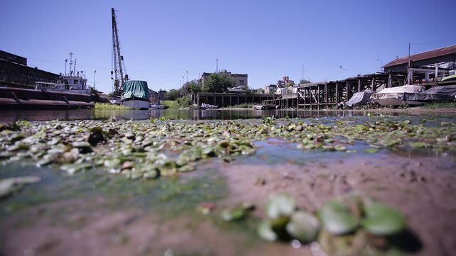 Impresionantes imágenes de la bajante del río Paraná