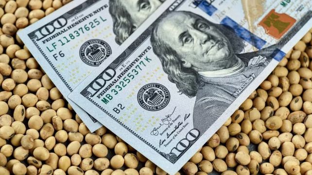 Con el fin de la temporada fuerte de agroliquidaciones