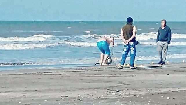 Pescador se llevó un delfín en peligro de extinción.