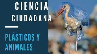 Ciencia ciudadana: el Conicet lanza una iniciativa de monitoreo colaborativo