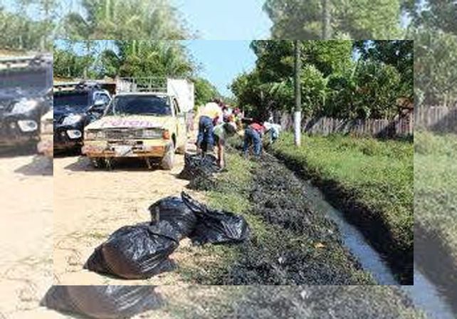 Hace un año que un grupo de jóvenes limpia Bº Scarafía