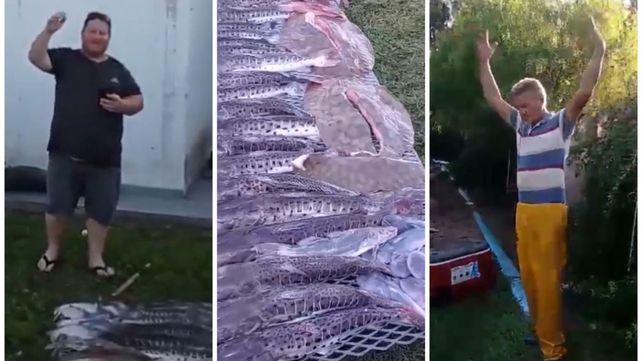Los pescadores multados publicaron un video en redes sociales donde exhibieron el producto de la pesca ilegal que realizaron en Santa Fe.&nbsp;