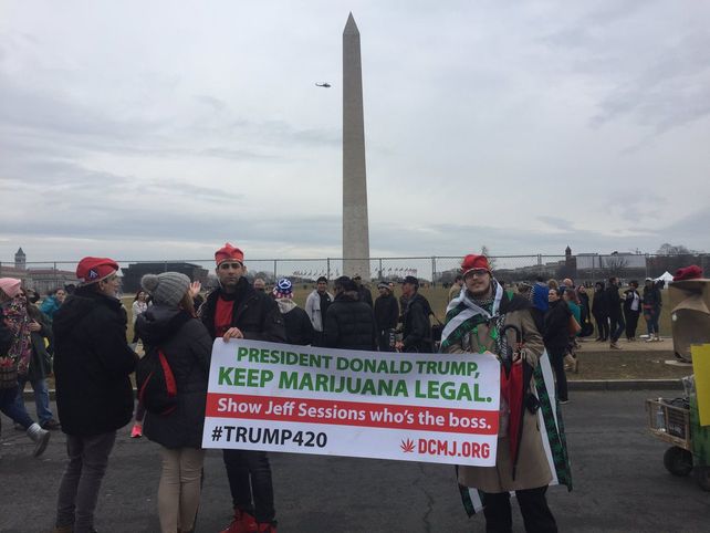 Reparten miles de porros de marihuana durante la asunción de Trump en Washington
