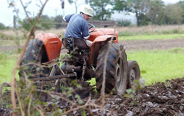 Agricultura familiar, la madre de la soberanía y seguridad alimentarias