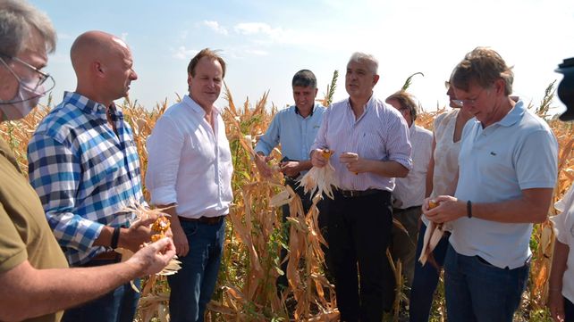 Más de 1.600 productores se adhirieron a la emergencia agropecuaria declara a raíz de la sequía y serán asistidos financieramente