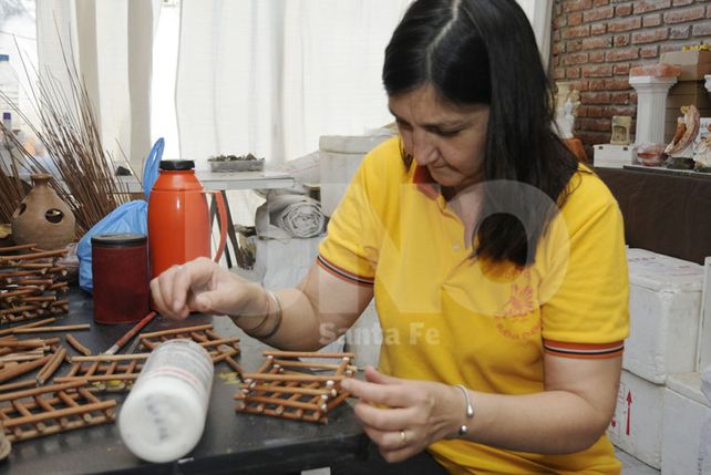 Un emprendimiento con luz propia y buena energía