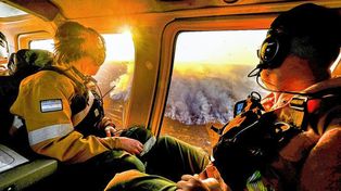 Incendios en el Delta: Ambiente aportó datos a la Justicia