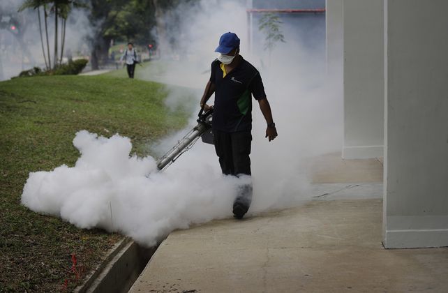 Un tercio de la humanidad vive en zonas de riesgo de propagación del virus del zika