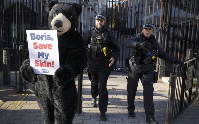 Un manifestante de PETA (Personas por el Trato Ético de los Animales) sostiene una pancarta frente a la entrada de Downing Street en Londres