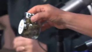 Daniel Lipovetzky le llevó flores de marihuana como regalo al streamer Tomás Rebord
