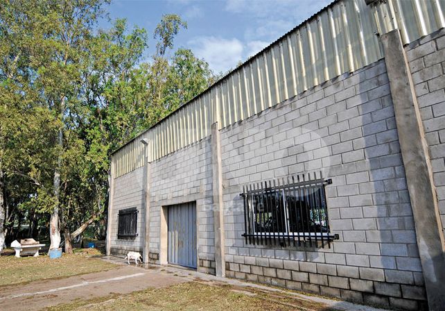 Salón. Tras varios años