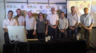 El primer lote de girasol 22/23 se remató en $105.000 la tonelada