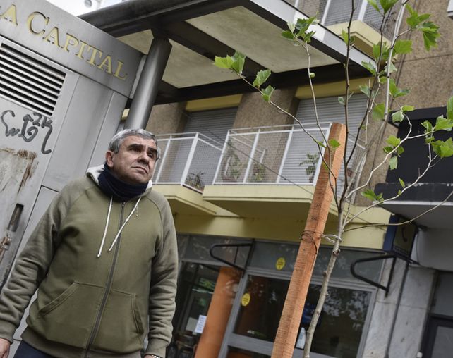 Otra vez verde. El retoño de plátano fue plantado por Parques y Paseos.&nbsp;