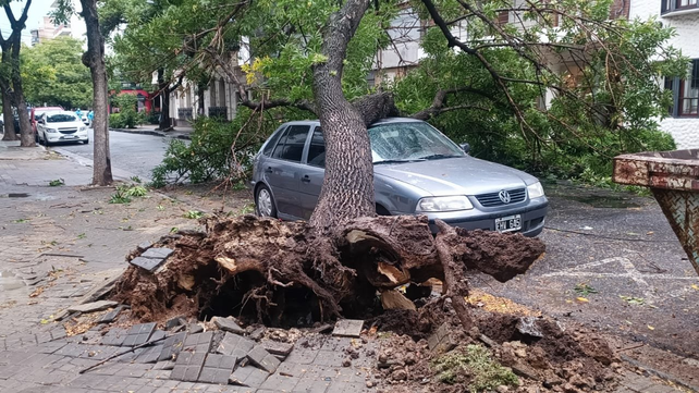 Auto aplastado por un árbol que cayó por la tormenta. Fue en Presidente Roca al 1700.