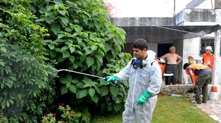 El dengue ya causó 22 muertes, pero el Estado nacional solo cuenta 14