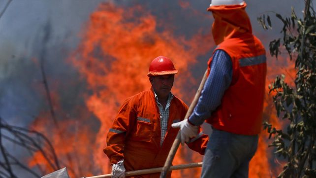 Las imágenes más estremecedoras de los incendios forestales en Chile