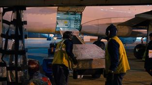 Gol Líneas Aéreas transportará carga desde el Aeropuerto Internacional Rosario Islas Malvinas.
