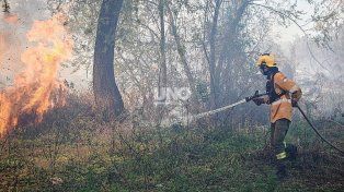 Incendios en islas y pronóstico de sequía: buscan fortalecer la brigada forestal de Santa Fe