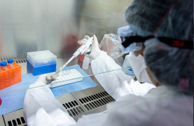 Tres ciudades de la provincia concentran más de 60% de los casos positivos por coronavirus