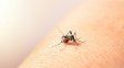Los casos de dengue crecieron casi 150% durante la última semana en la provincia de Santa Fe