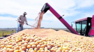 Los productores comienzan a recurrir al mercado de capitales para obtener financiamiento.&nbsp;